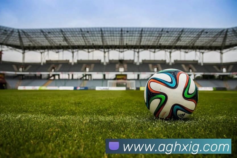 App Interface Preview