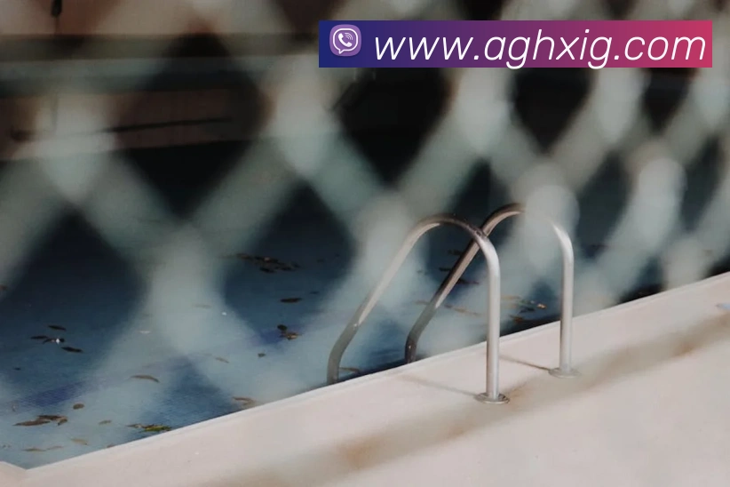 ag百家乐APP 封面图